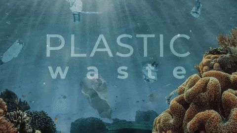 What's the Problem with Plastic anyway?